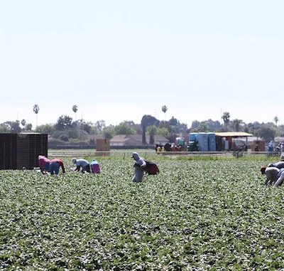 6_Biodynamic-Educational-Farm_-CA-2